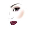 Diego dalla Palma VISO Universal Duo Shaping Face Palette