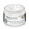 Teaology Ginger Tea Energizing Aqua Cream 50ml