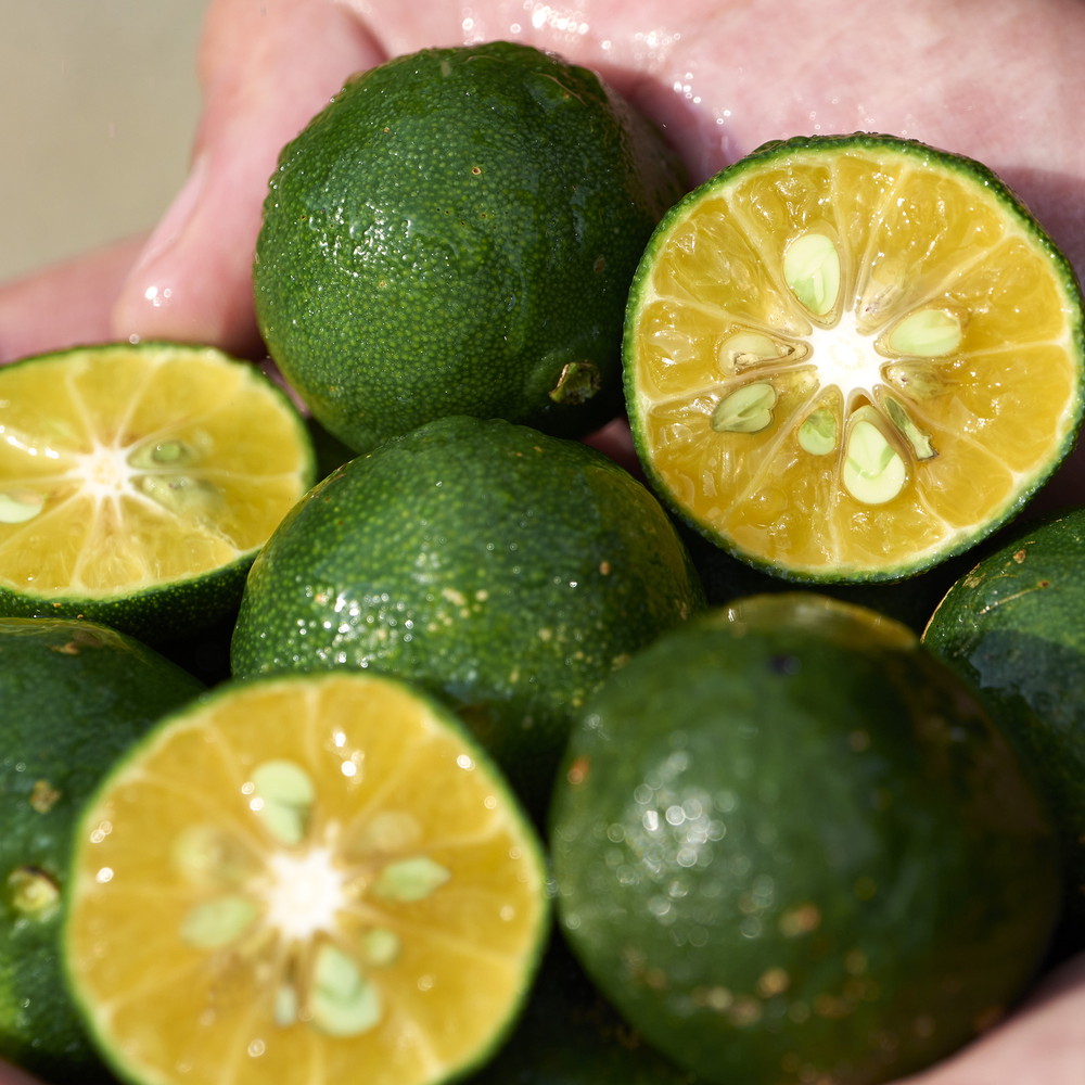 768614178743 05 ᐅ Ethos