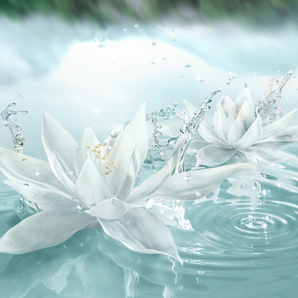 887167557222 03 ᐅ Ethos