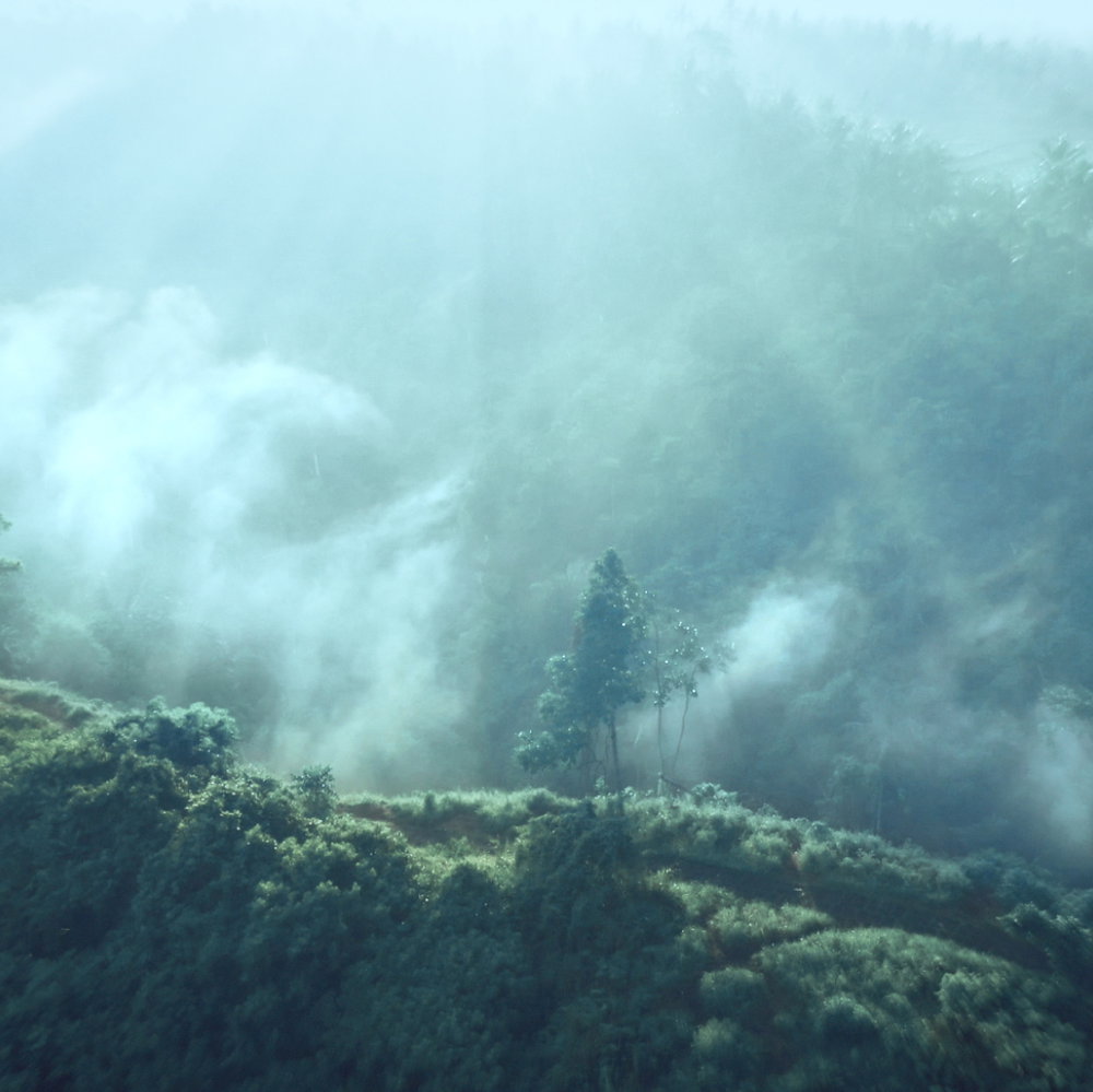 887167557222 05 ᐅ Ethos