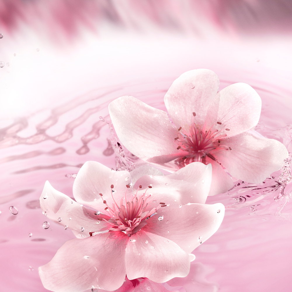 887167557239_03 887167557239 03 ᐅ Ethos