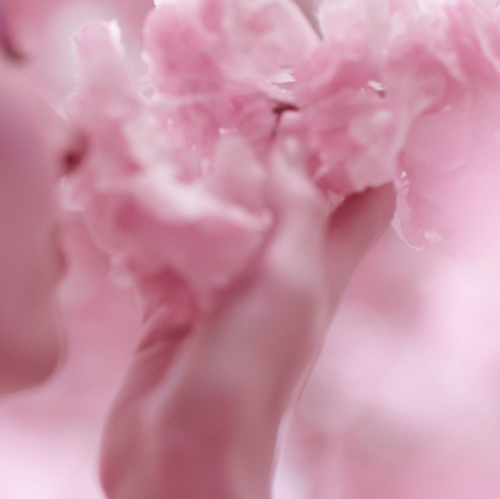 887167557239_04 887167557239 04 ᐅ Ethos