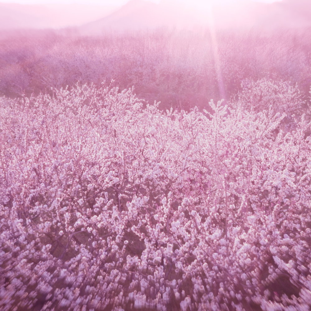 887167557239_05 887167557239 05 ᐅ Ethos