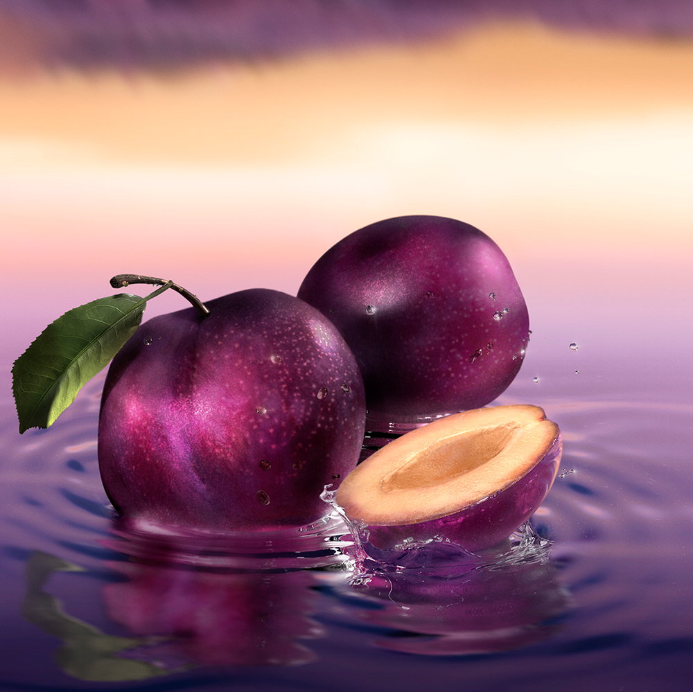 887167557246_03 887167557246 03 ᐅ Ethos