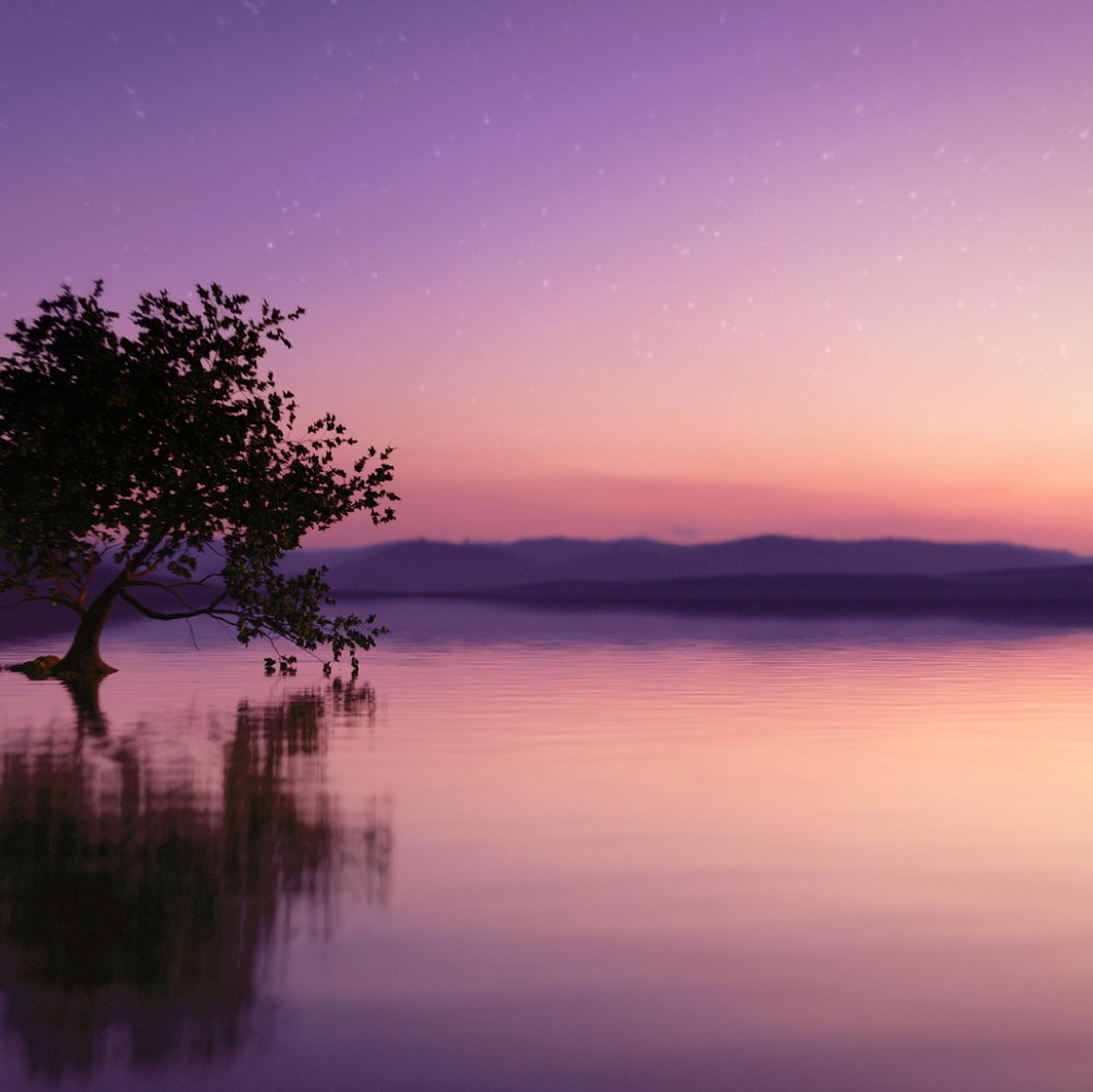 887167557246_05 887167557246 05 ᐅ Ethos