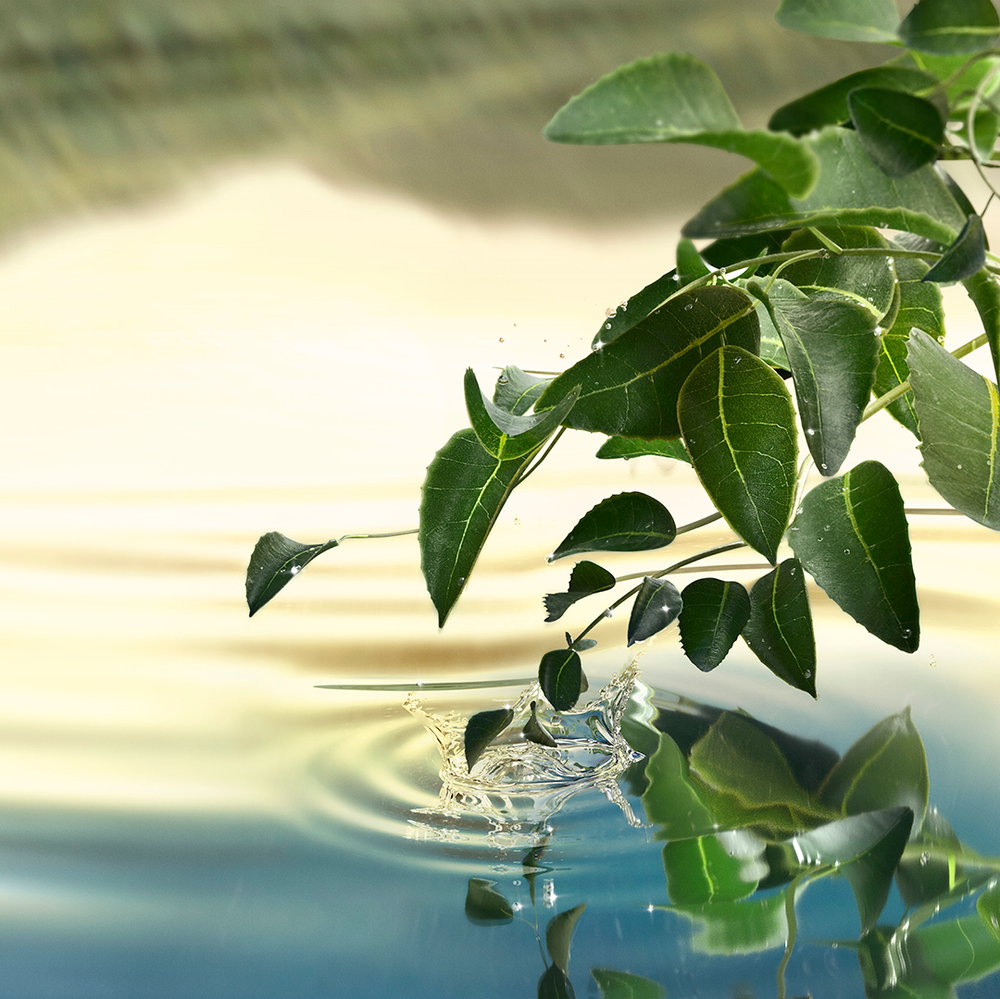 887167557253_04 887167557253 04 ᐅ Ethos