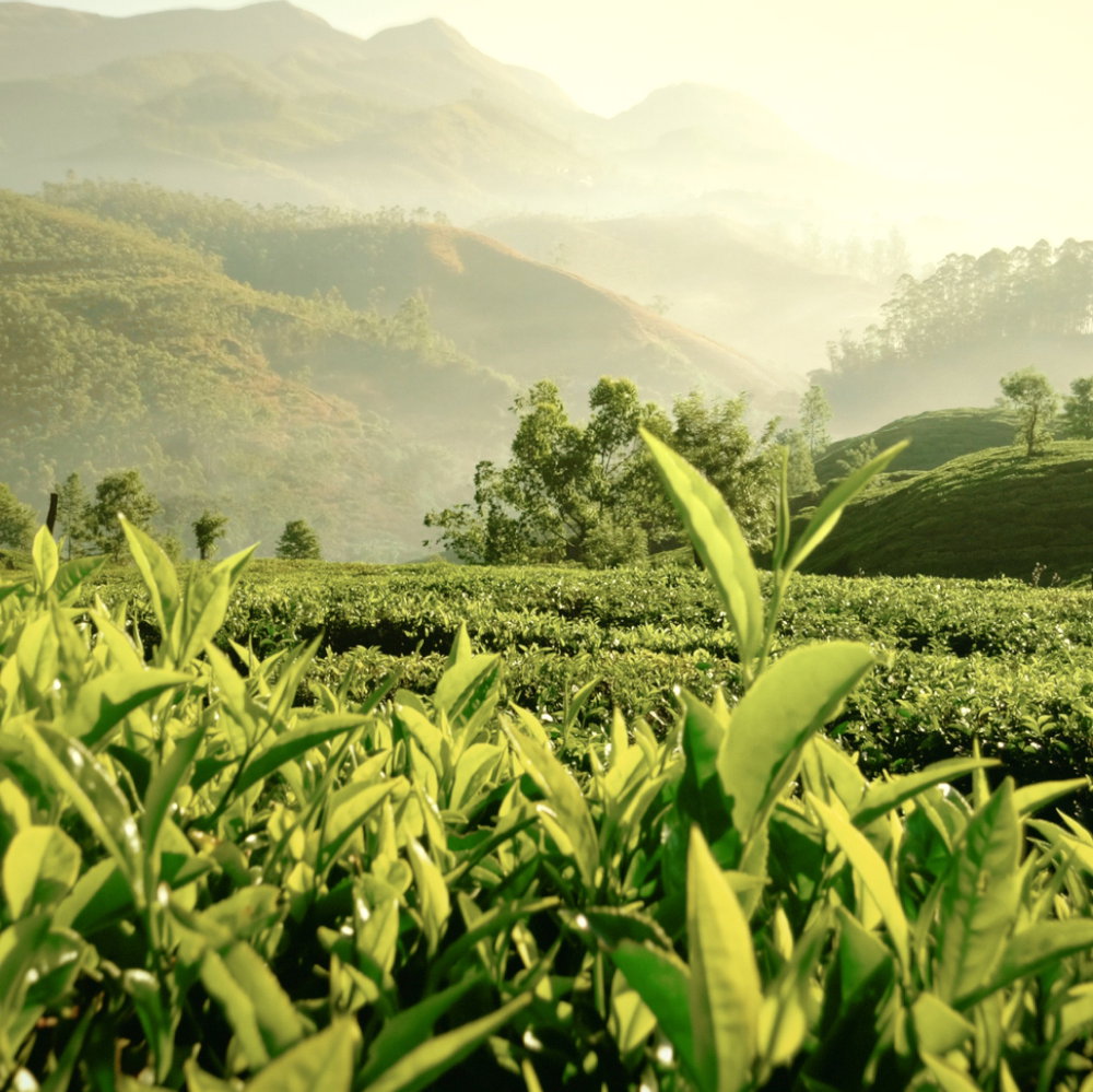 887167557253_06 887167557253 06 ᐅ Ethos