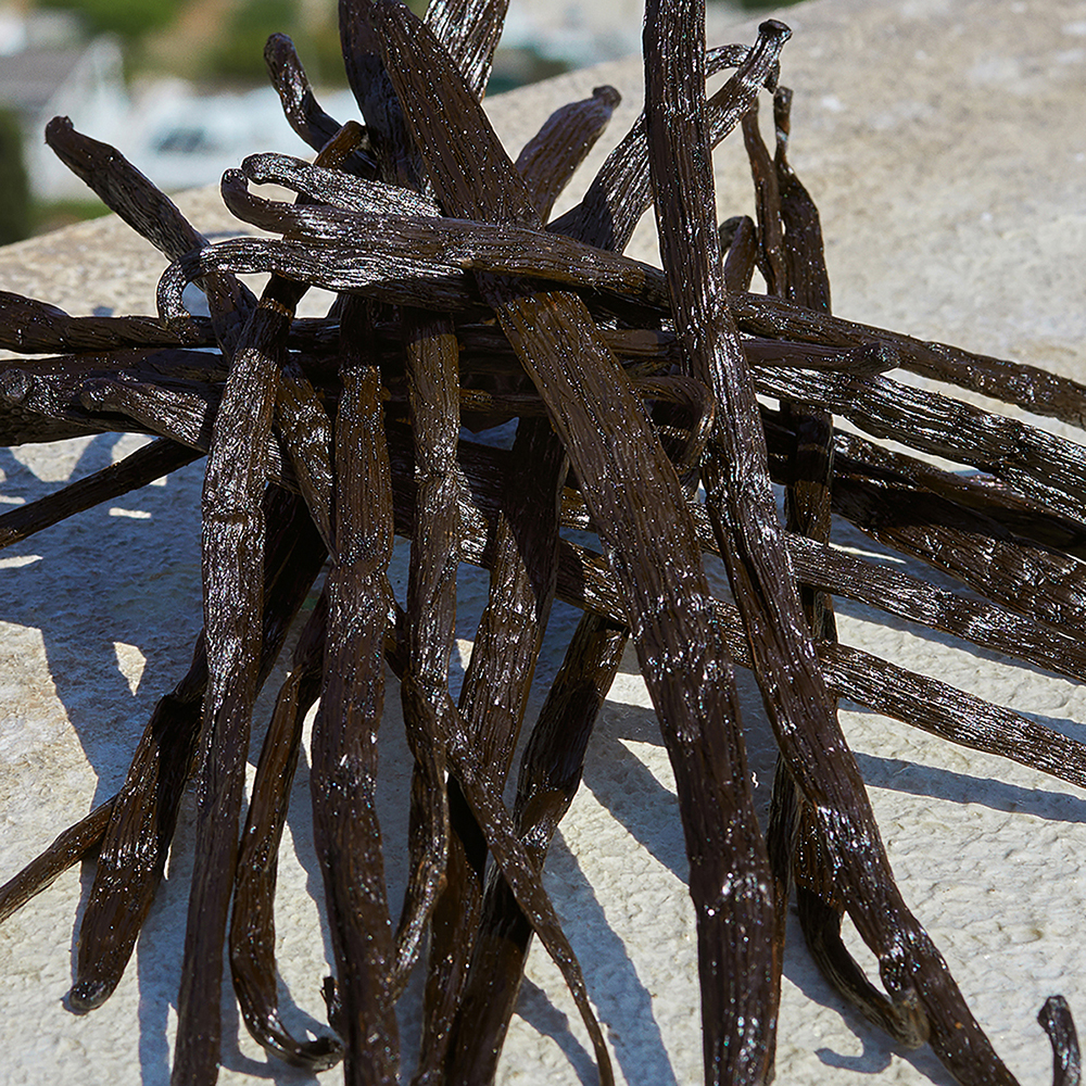 8057971183715 06 ᐅ Ethos